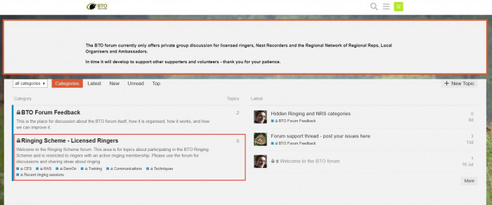 Screenshot of the landing page for the Ringers' Forum Screenshot of the landing page for the Ringers' Forum