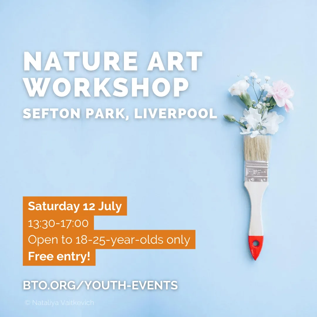 BTO Youth Nature Art Workshop